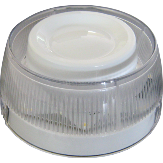 BELINDA WSST IS TELETEK